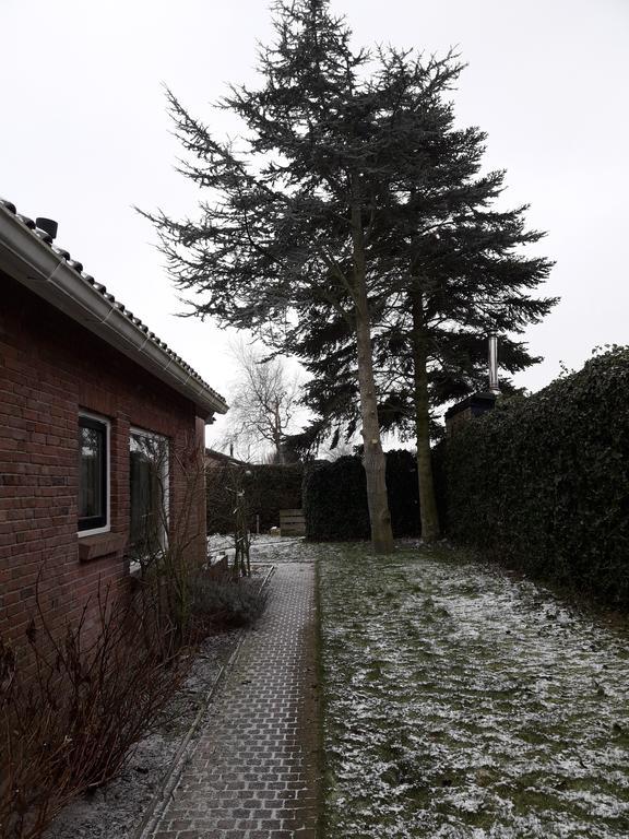 Zomerhuis De Zeedistel Egmond aan den Hoef Exterior foto